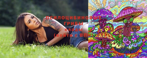 кокс Новозыбков