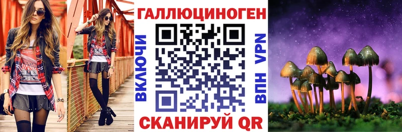 Псилоцибиновые грибы MAGIC MUSHROOMS  MEGA tor  Новохопёрск 